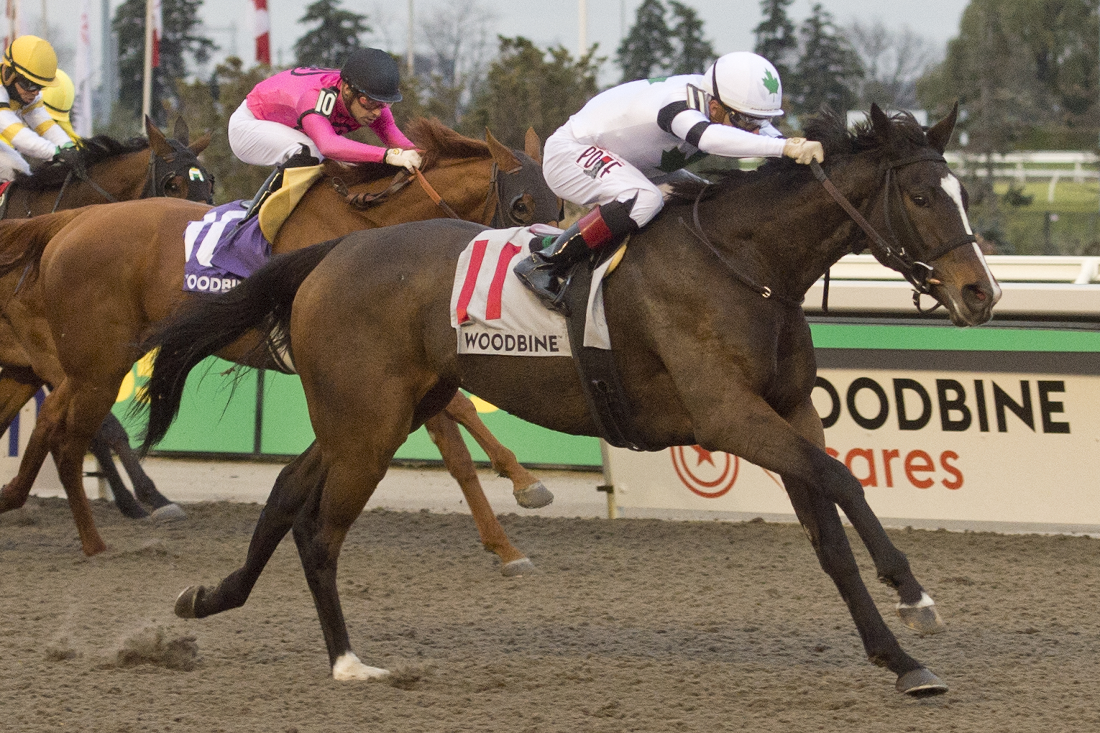 Millie Girl Masterful Once Again In Grade 3 Maple Leaf