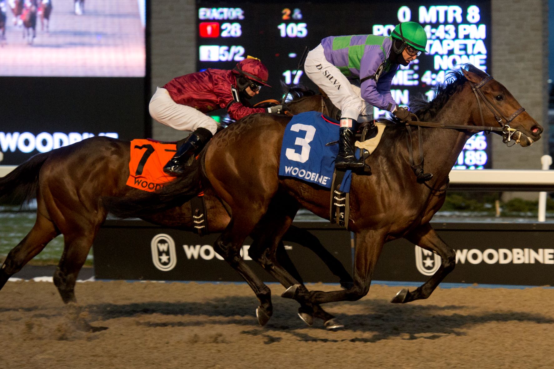 Image 1: Avie’s Flatter wins the 2018 Coronation Futurity on November 11, 2018 with Luis Contreras aboard. This victory propelled the Flatter colt to a Sovereign Award for Champion Two-Year-Old Male.
