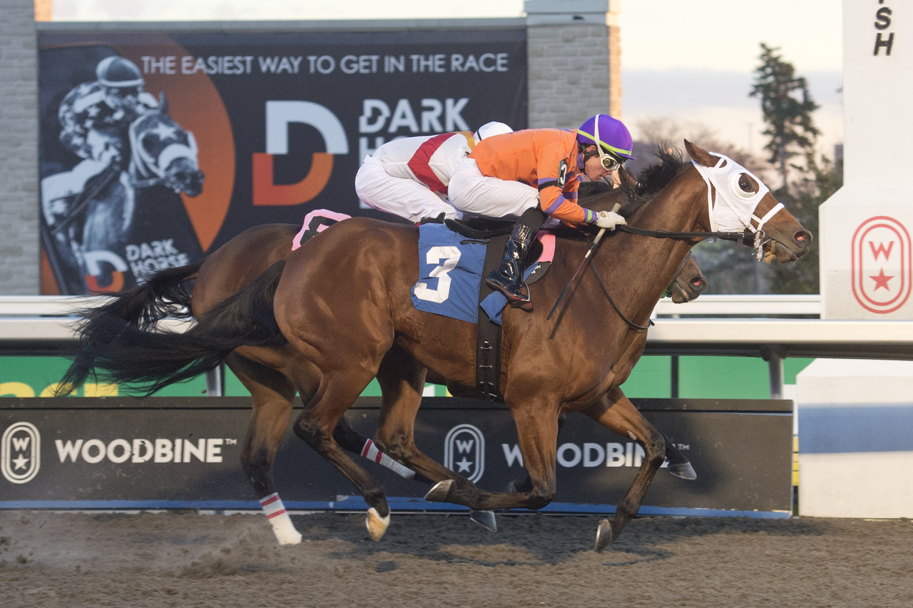 Cruden Bay to highlight $100,000 Steady Growth at Woodbine