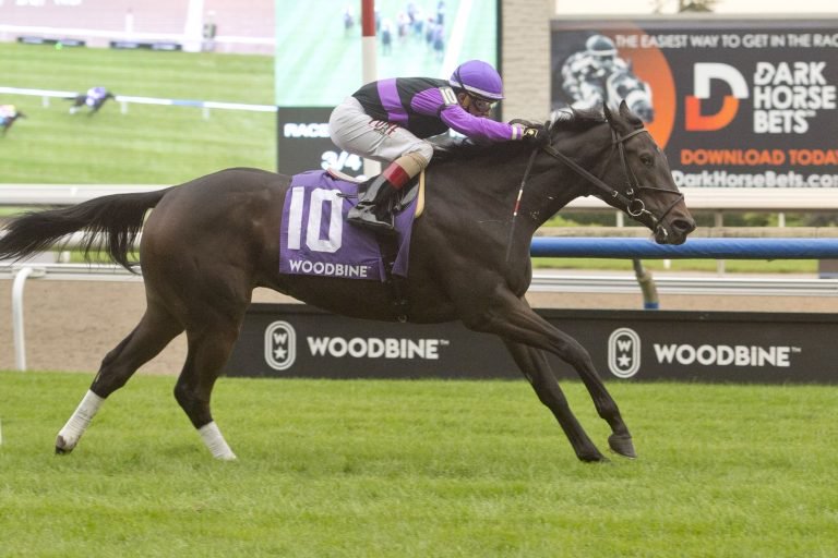 Ontario Sire Heritage Series finishes with a flourish, Friday at Woodbine