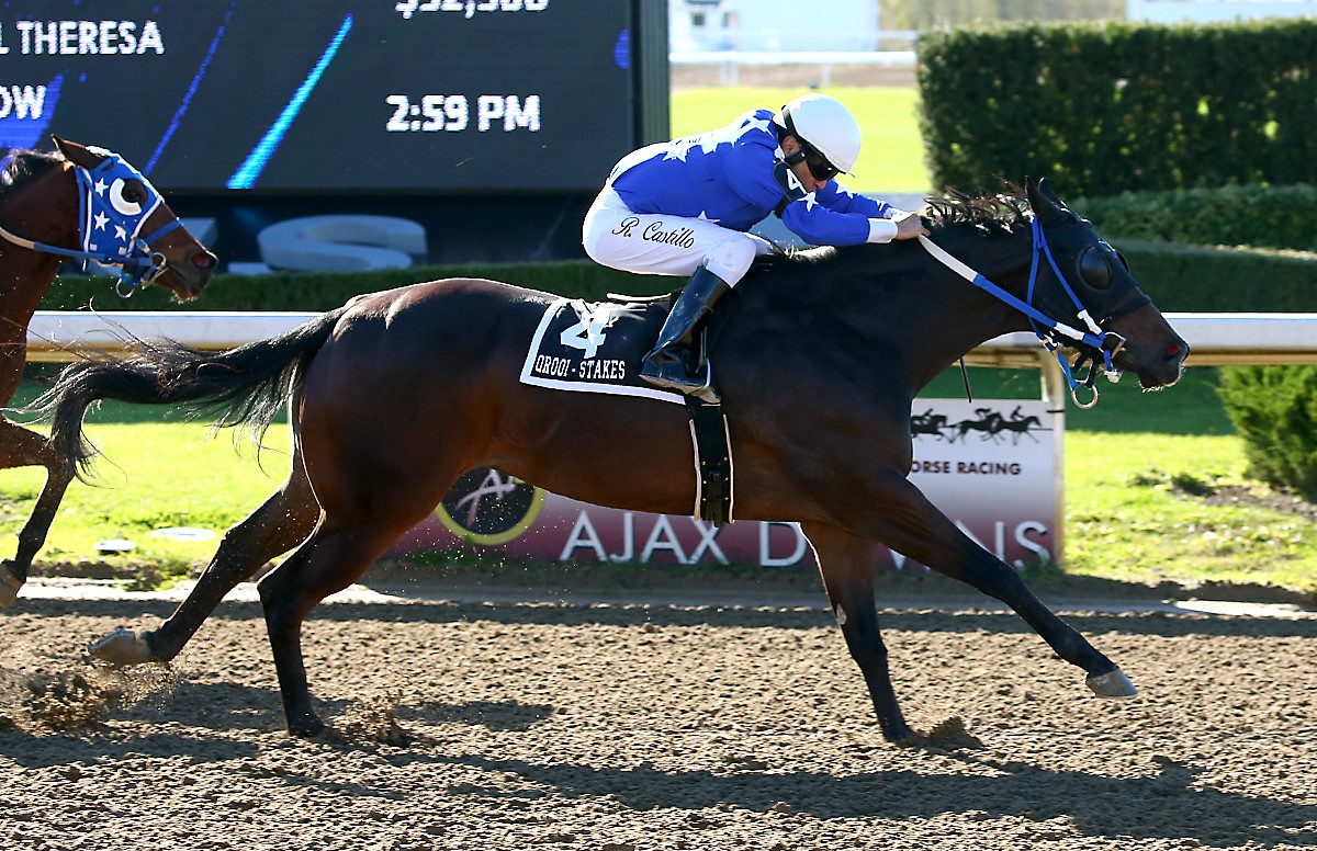 All Outta Sugar scores a sweet win in the Ontario Sires Stakes Derby.