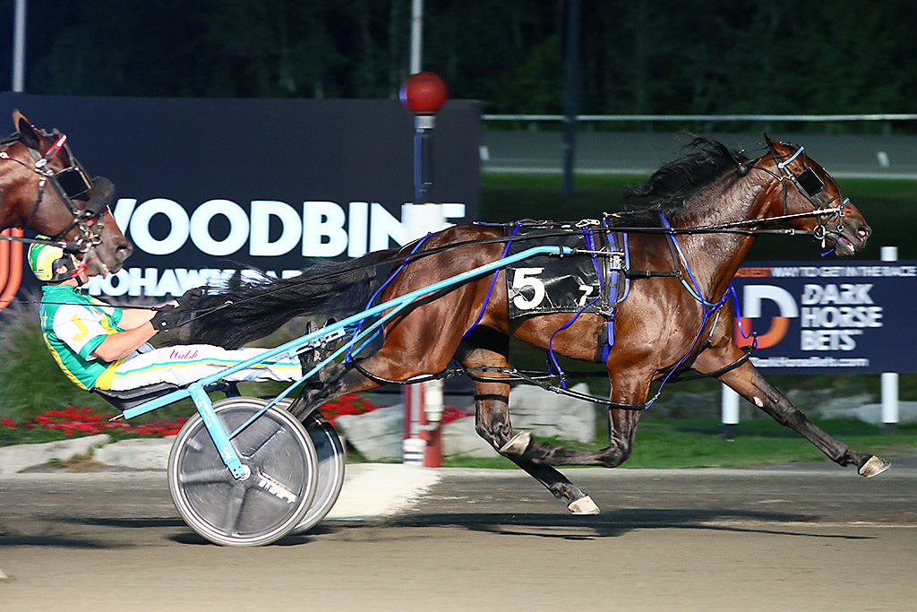 Stockade Seelster remains the freshman pacing colt king