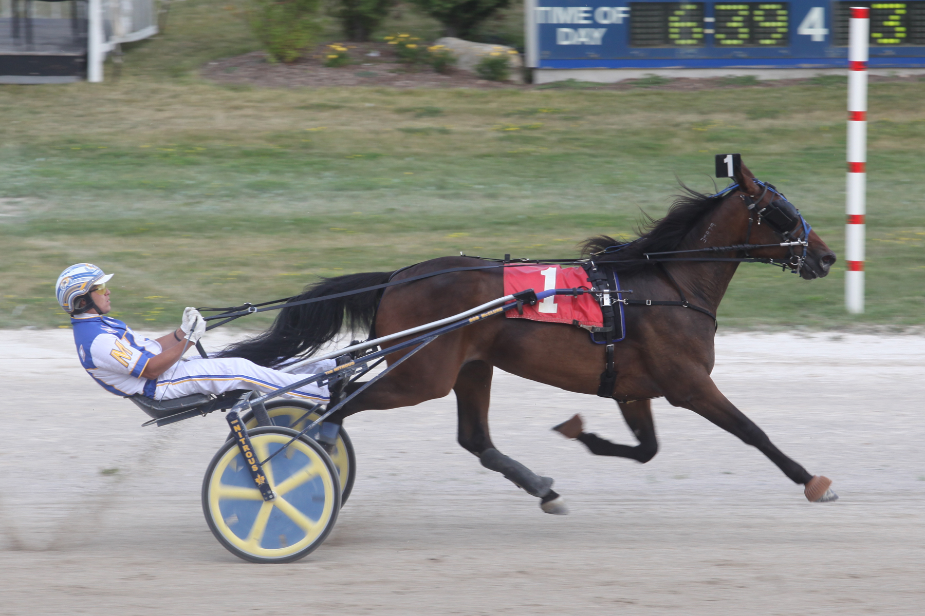 Delcrest Magicstar triumphs in her delayed Grassroots debut