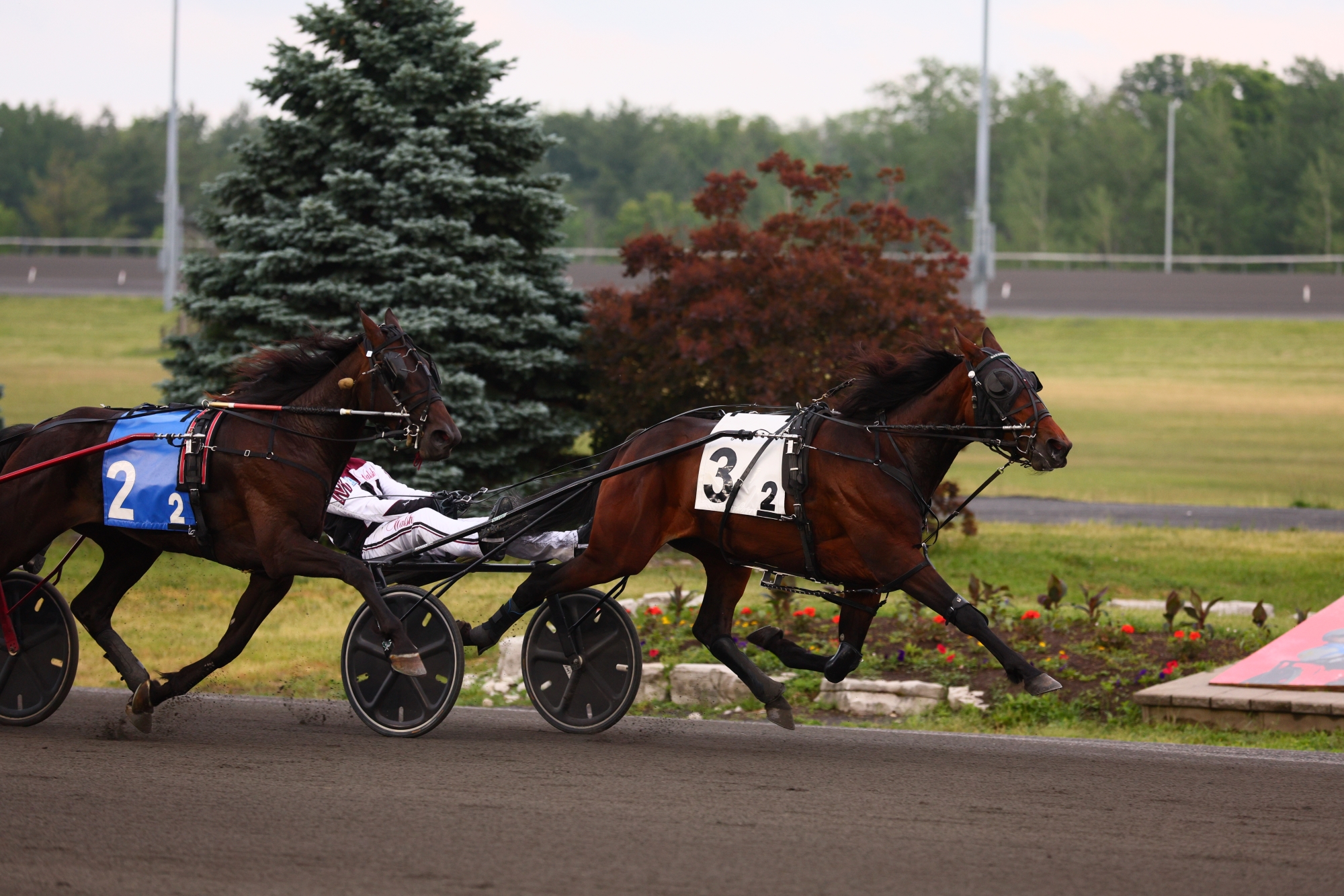 OSS Gold Action Heads to Mohawk on Canada Day Weekend
