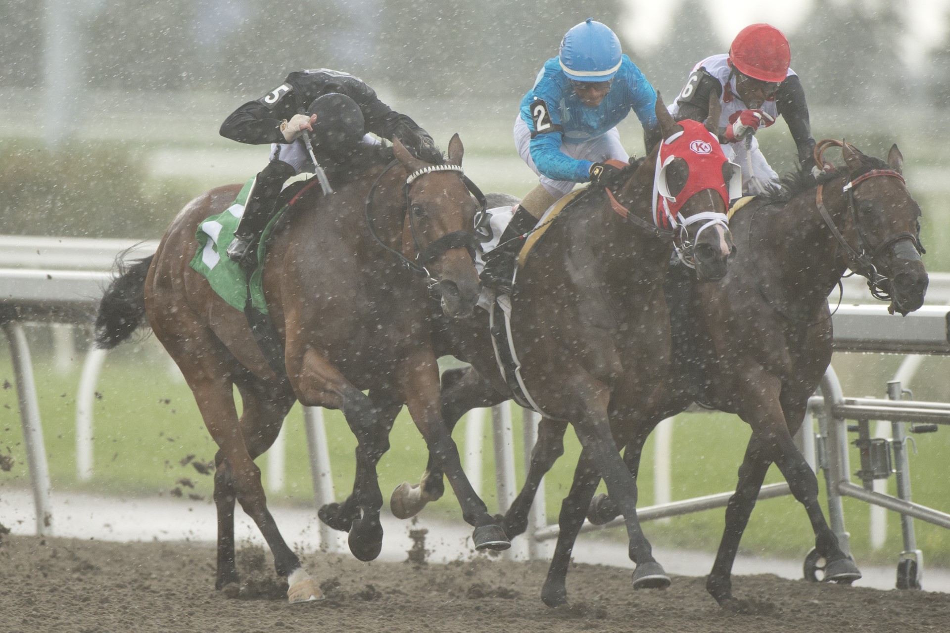 Il Malocchio (left) edges Angelou (centre) and Super Hoity Toity (right) in Sunday's Grade 3 Trillium Stakes Presented by Stella Artois. (Michael Burns Photo)