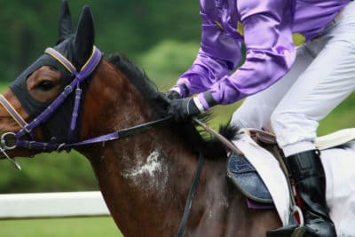 Handicapping at the Track: The Body Language of a Racehorse