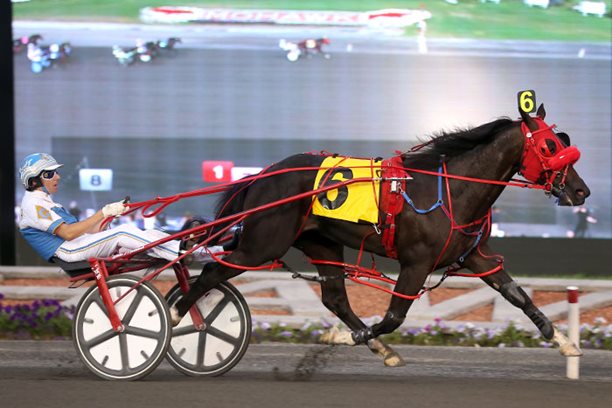 Sports Column and Streakavana repeat in Gold action at Mohawk
