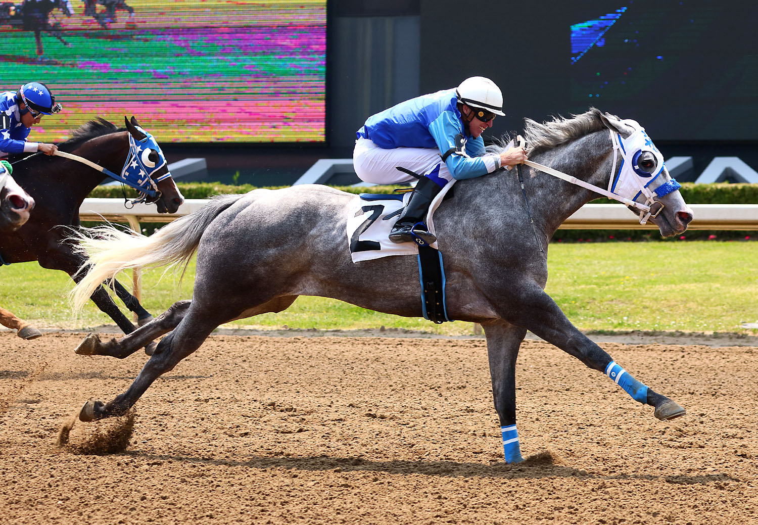 The popular Ontario-bred 3-year-old Snow Moose (New Image Media)