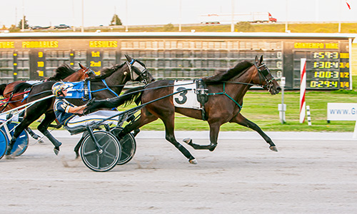 Allisonann Hanover looking for second Grassroots win Saturday