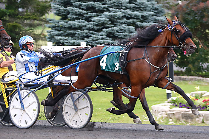 Scarlett Hanover victorious in return to Ontario