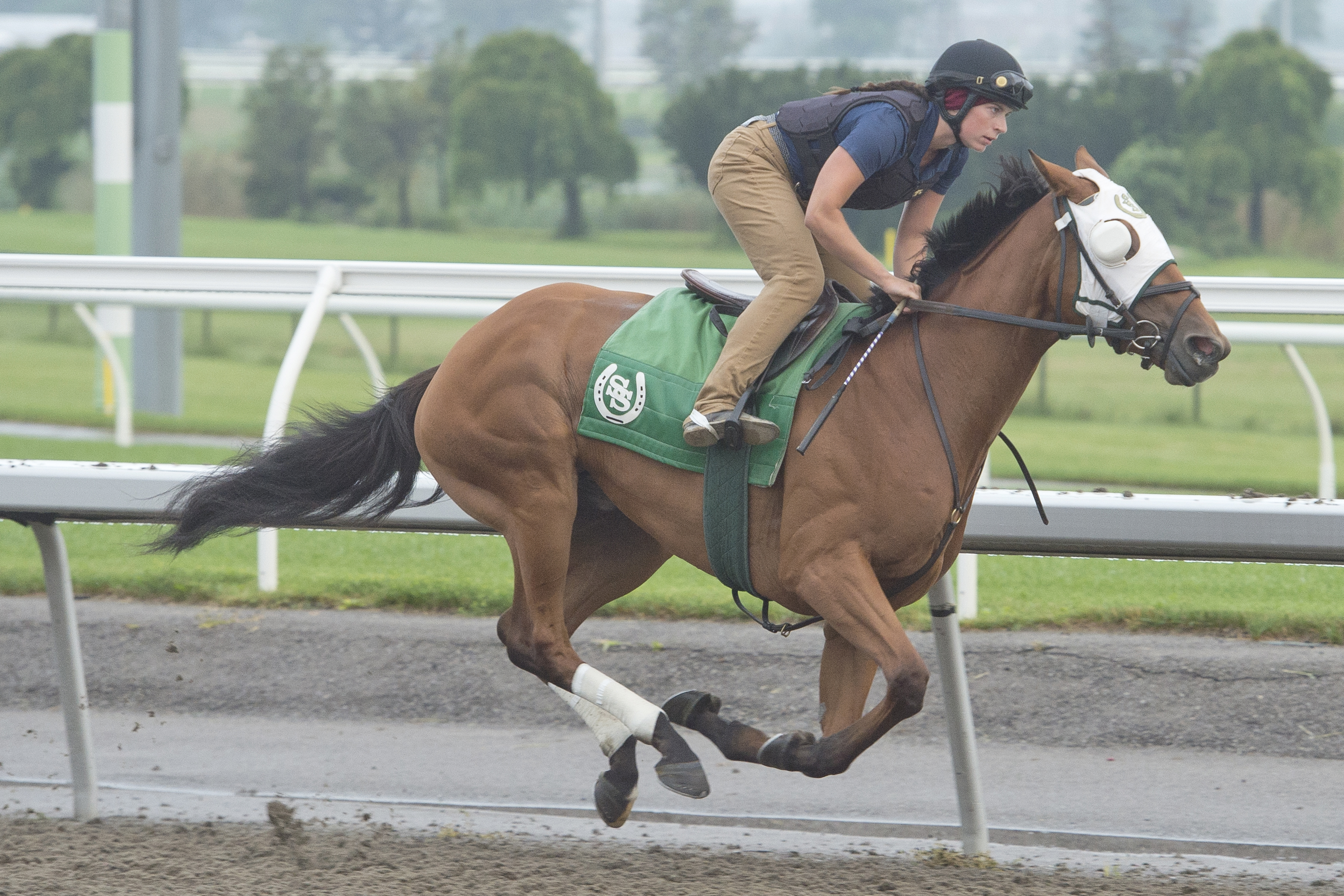Handicapping - The Freshness Factor:  Look for Horses Coming Off a Short Vacation