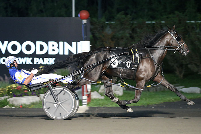 Millar Farms sweeps two-year-old pacing filly Gold Leg