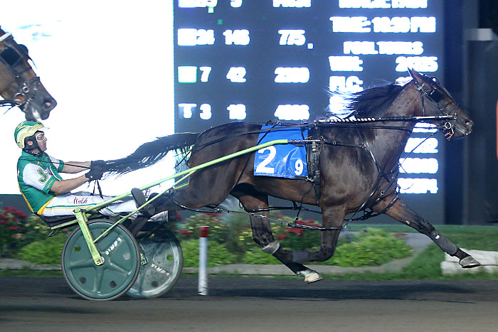 Third Gold win for Bulldog Hanover produces a puzzle for Darling