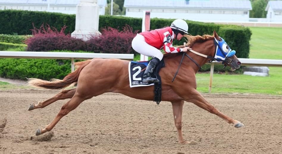 Juveniles Compete in Trials for Alex Picov Futurity on Wednesday