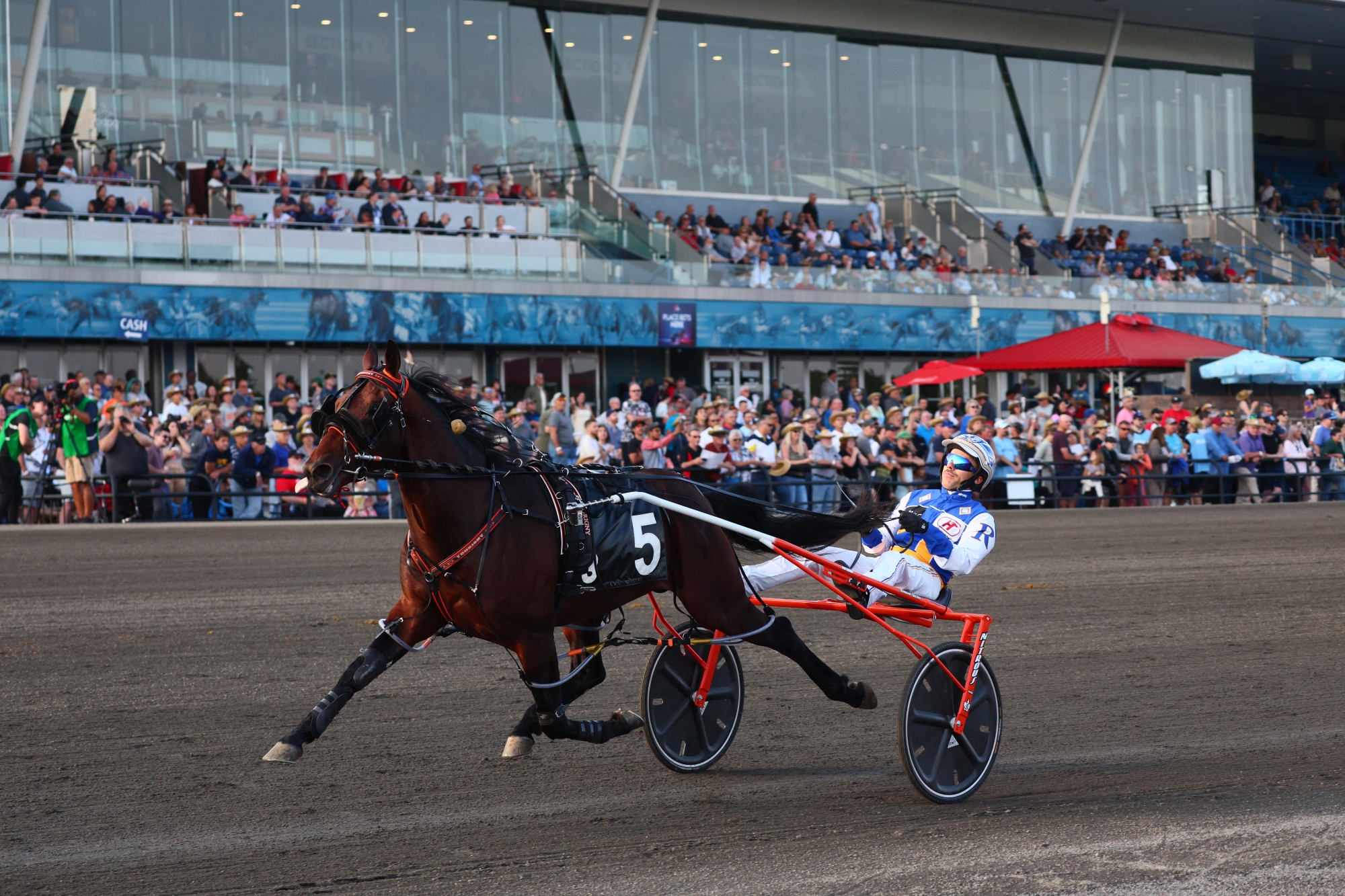 Verdun captures his fifth career, and second consecutive victory on June 17, 2023, at Woodbine Mohawk Park (New Image Media).