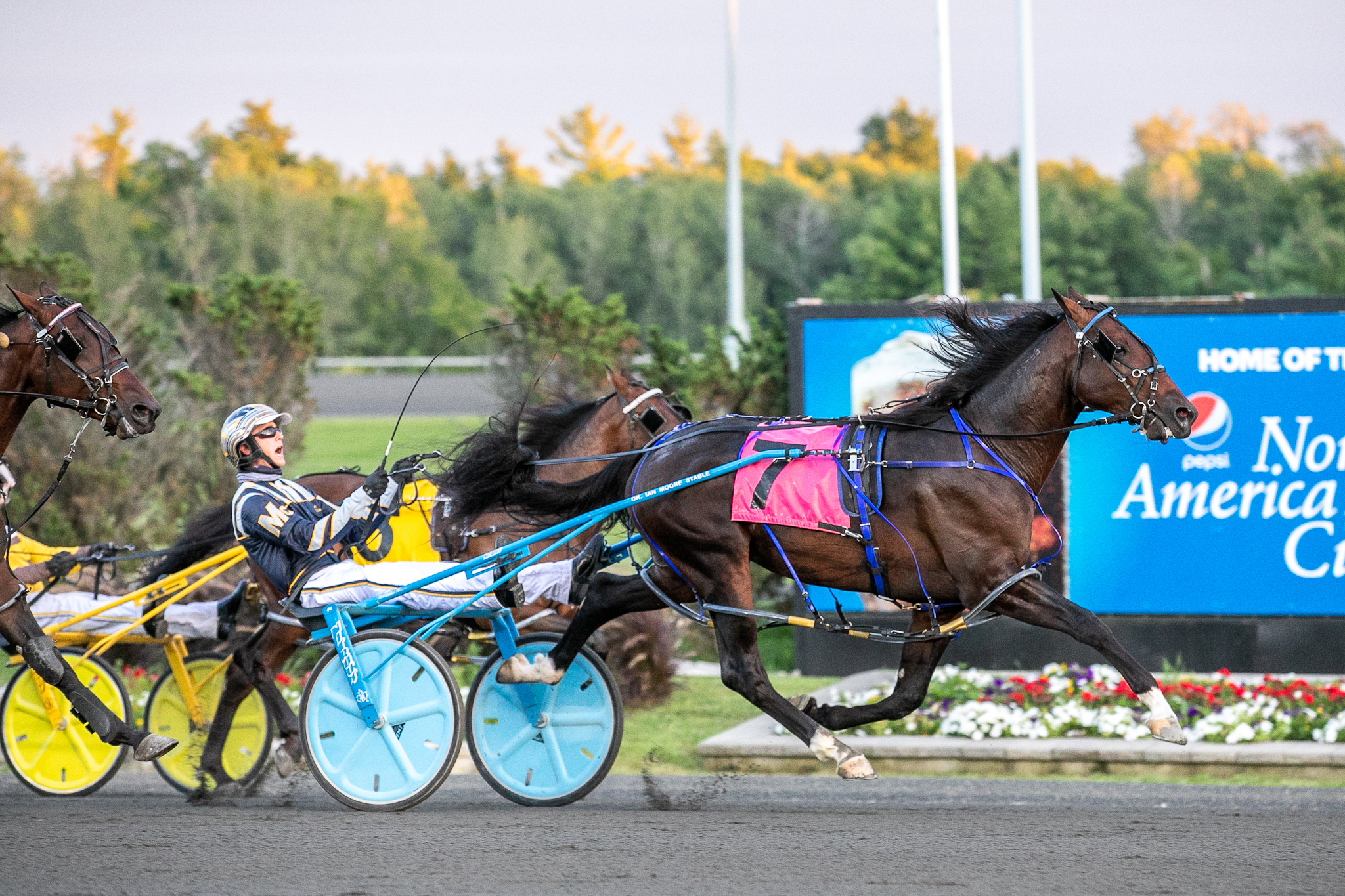 Standardbred Racing to Resume at Woodbine Mohawk Park This Friday