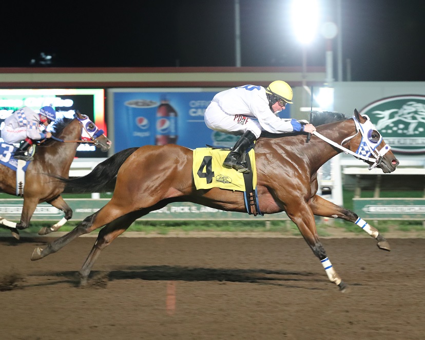 Picov Derby Trials Lure Ontario's Best Three-Year-Old Quarter Horses September 1