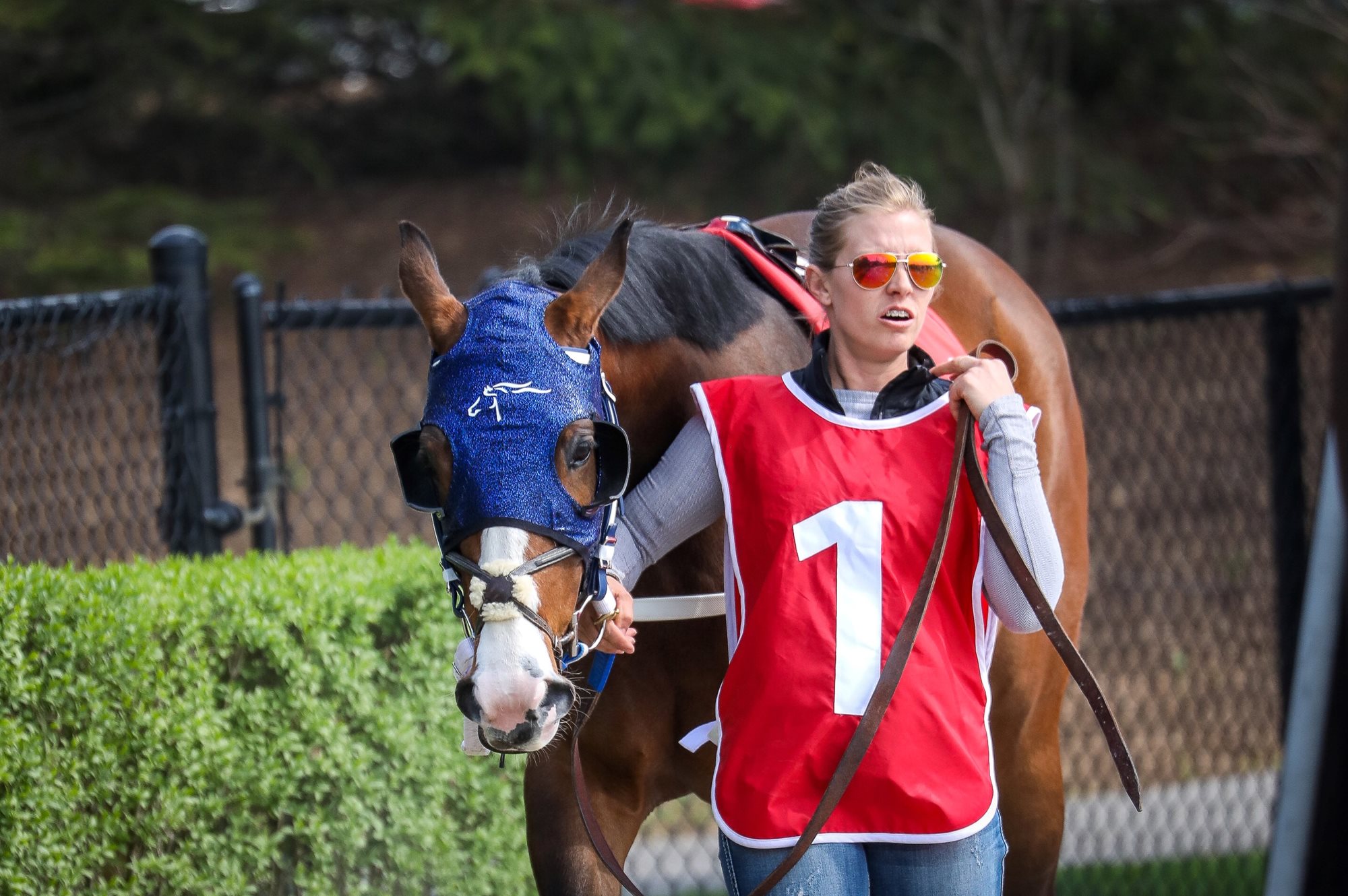 Peterborough's Michelle Olson Set to race First Quarter Horse