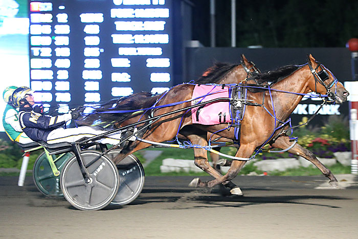 McClure nets another OSS double in freshman pacing colt action