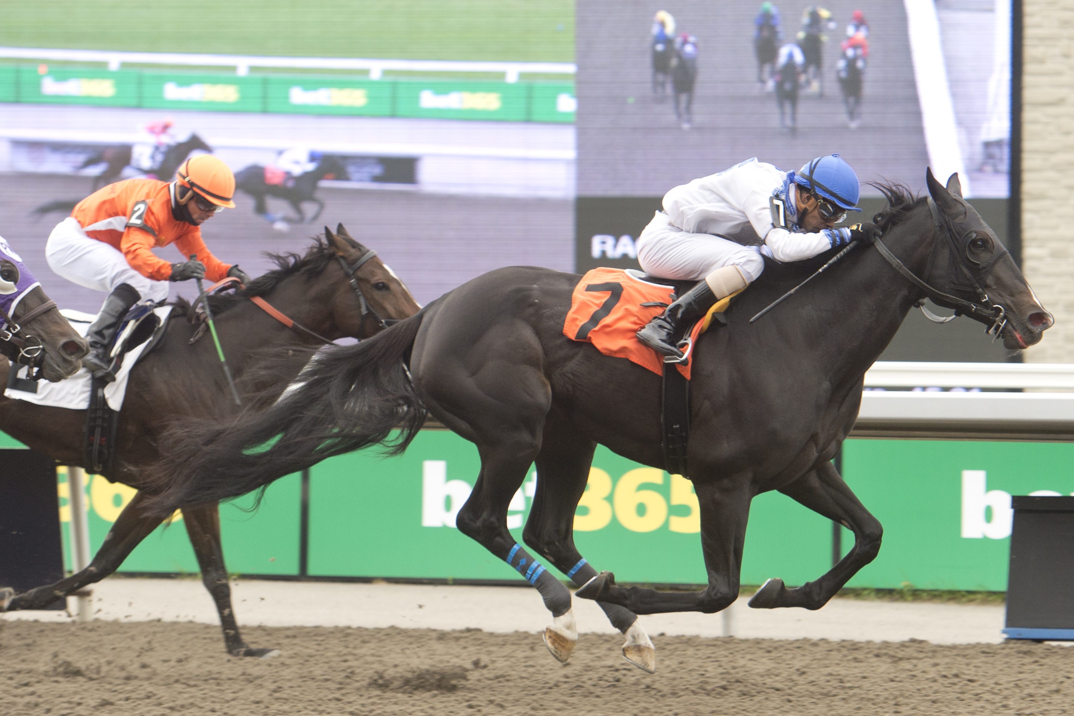Heritage Series To Conclude This Friday At Woodbine