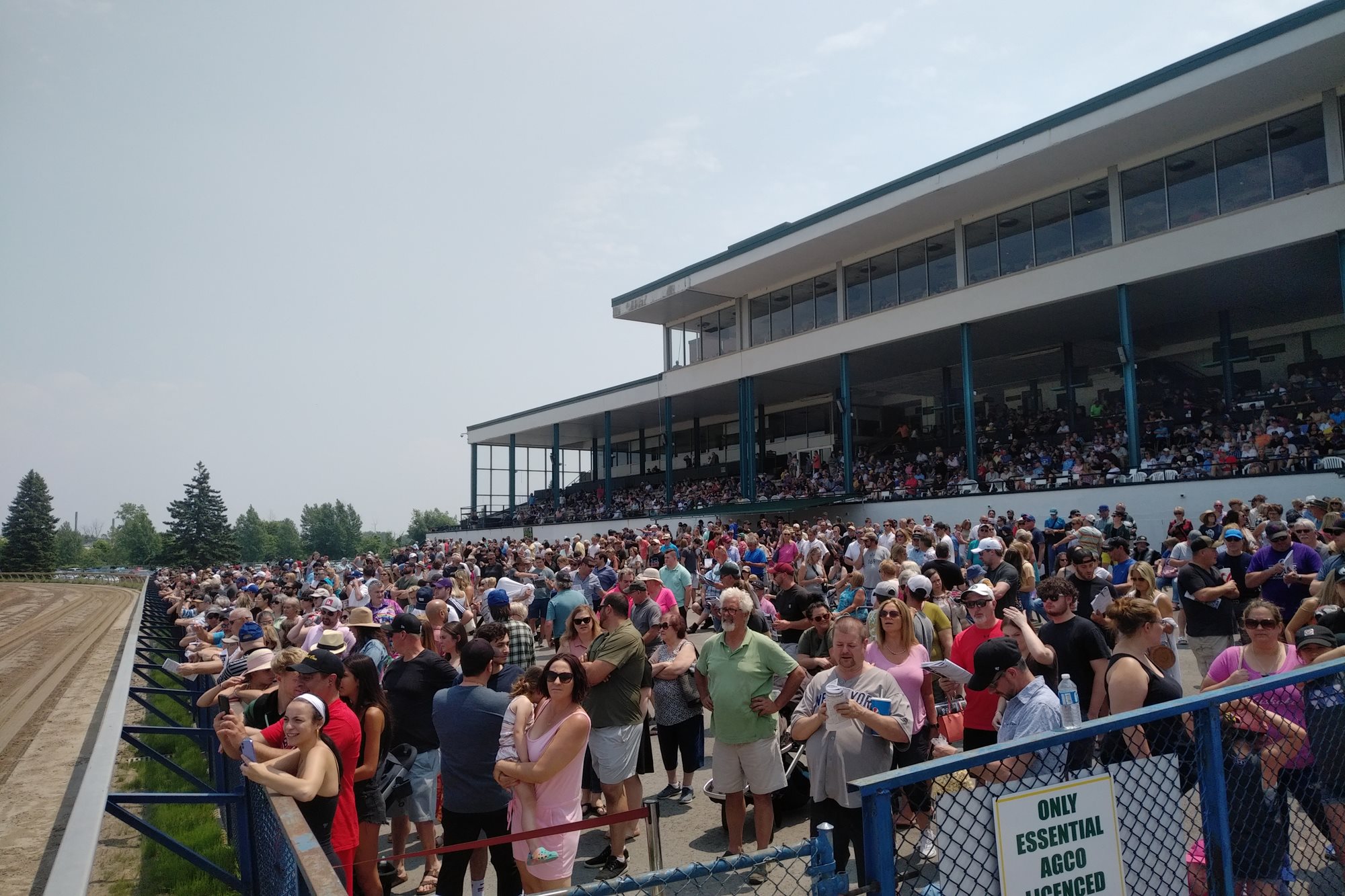 Sneaky Dogs and Fast Horses at Fort Erie Race Track on Father's Day