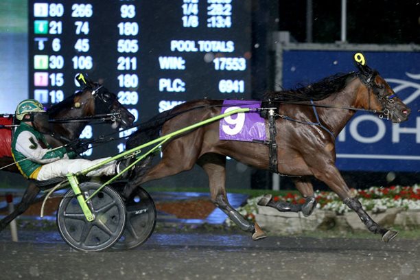 Myretirementticket sloshes to the top of the Grassroots standings