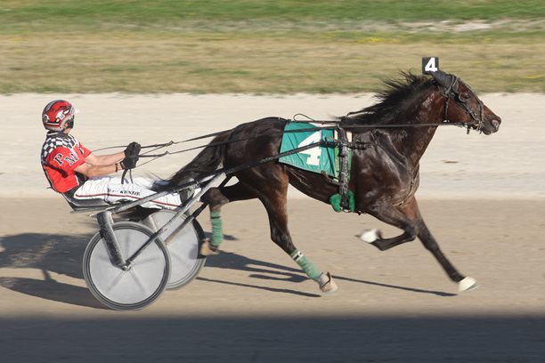Handy trotter proves Reibeling right at Grand River Raceway