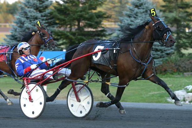Mellow miss captures Gold Series trophy at Mohawk