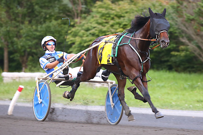 Trotting fillies impress, McNairs dominate in Friday’s OSS action