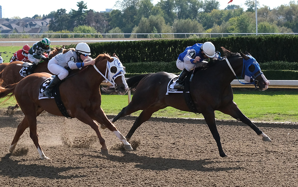 Had to Be Ivory (right) reaches out to win the $41,040 Ontario Bred Maturity