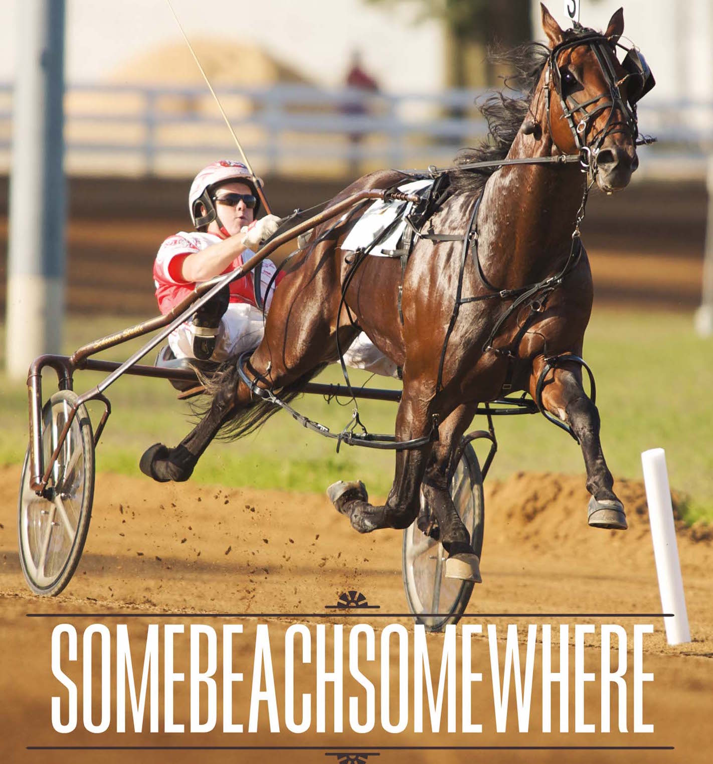 Paul MacDonell to sign Somebeachsomewhere books at Grand River Raceway’s Industry Day