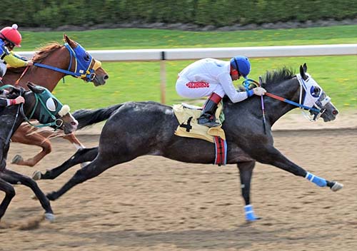 Two Stakes Races Highlight: Ajax Downs