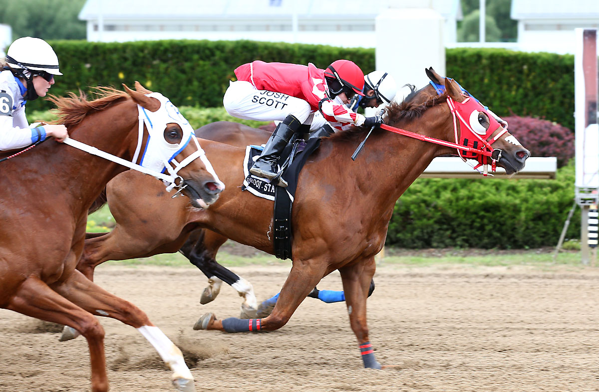Ontario Sired and Bred Firing Red Jess Posts 21 to 1 Upset win in Picov Maturity