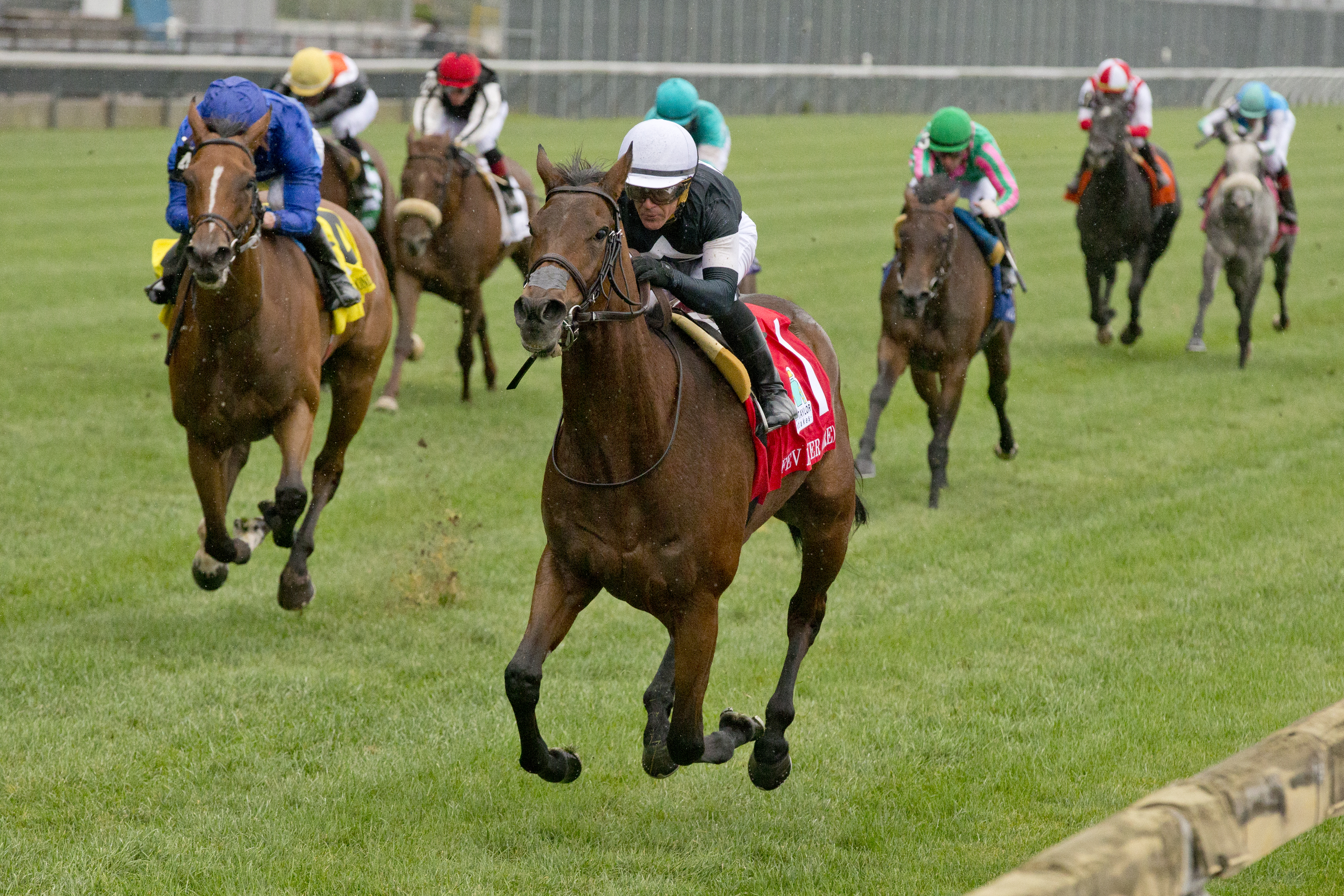 Woodbine To Rebuild Section Of E.P. Taylor Turf Course