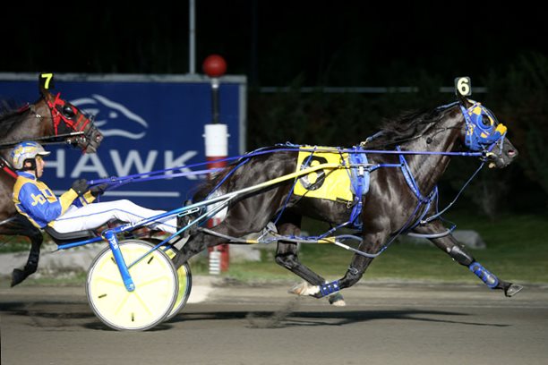 Favourites Betting Line and Magnum J golden at Mohawk