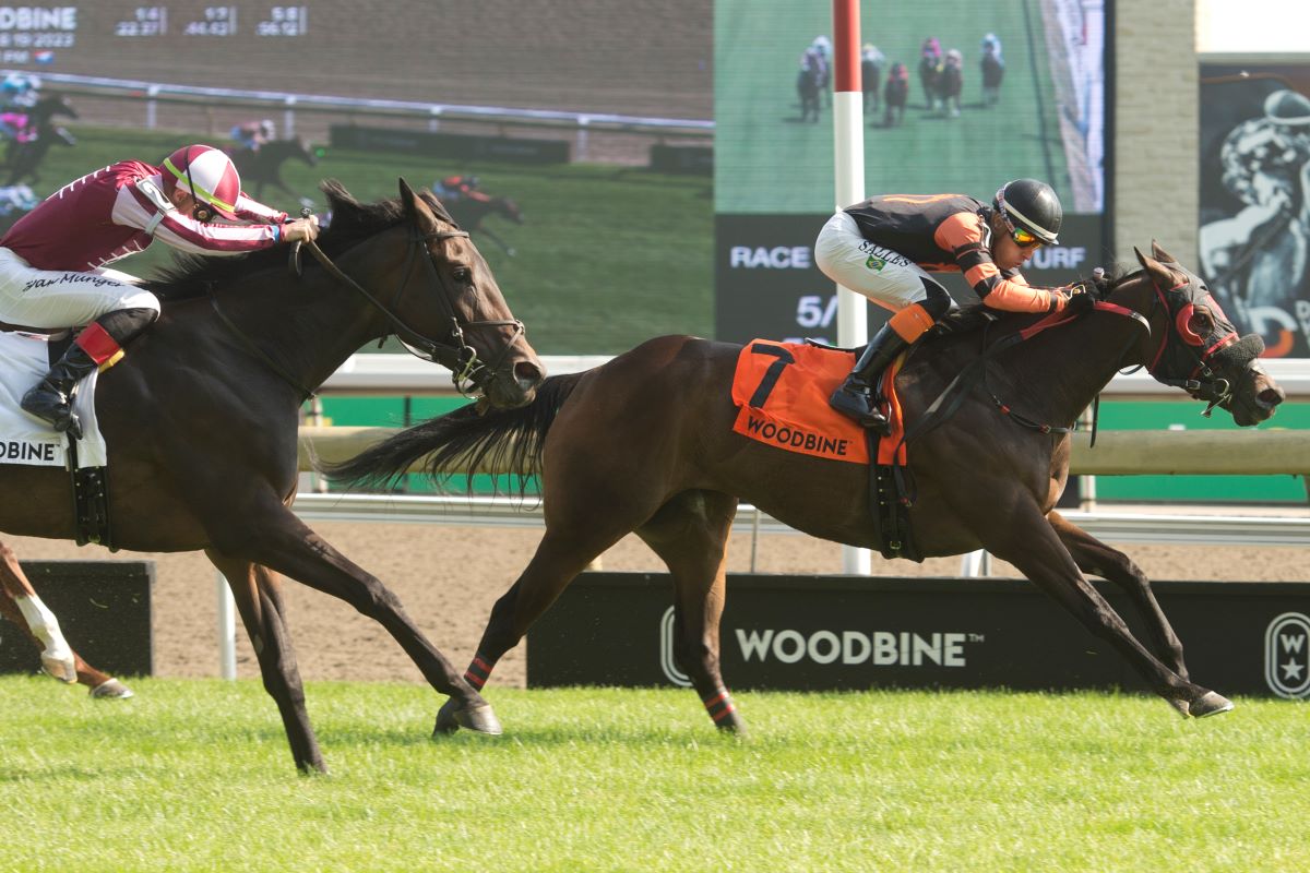 Canadiansweetheart takes on 13 in Grade 3 Whimsical