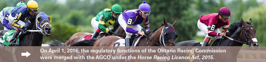 AGCO: Consultation on the future of horseracing in Ontario
