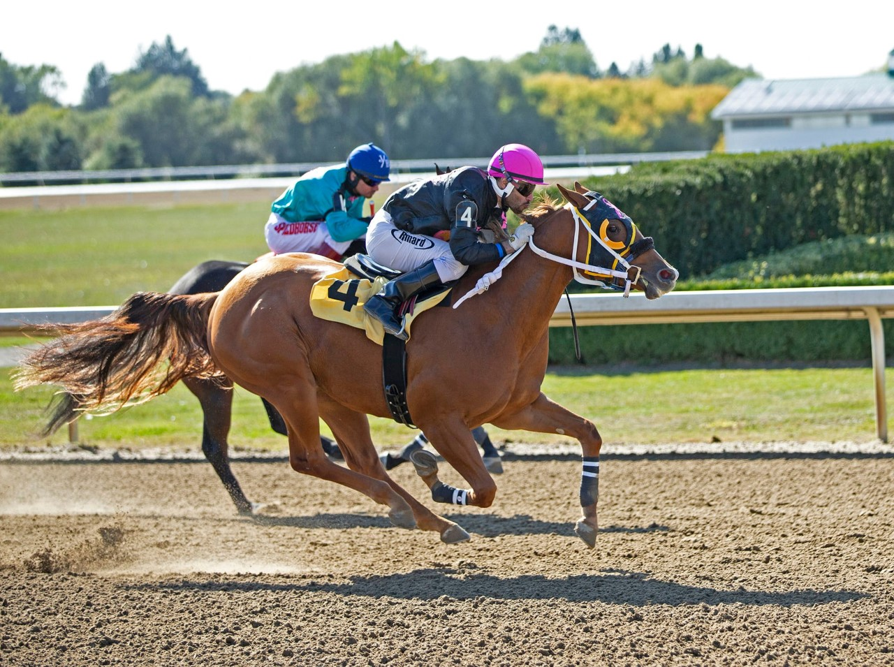 Canada's Richest Quarter Horse Race Headlines Ajax Downs' Closing Day
