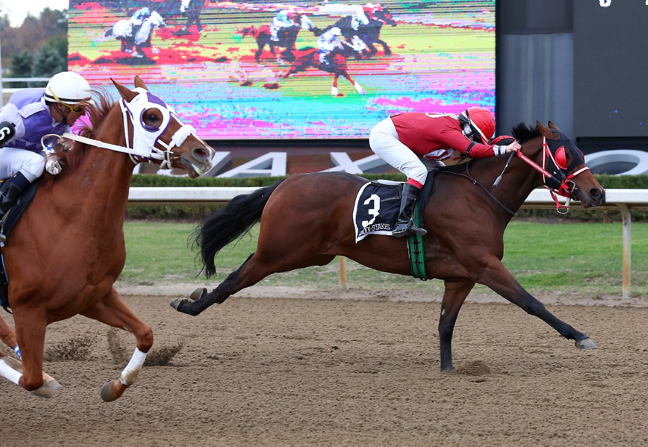 Night Leader Shows the Way in Ontario Sired Stakes Derby