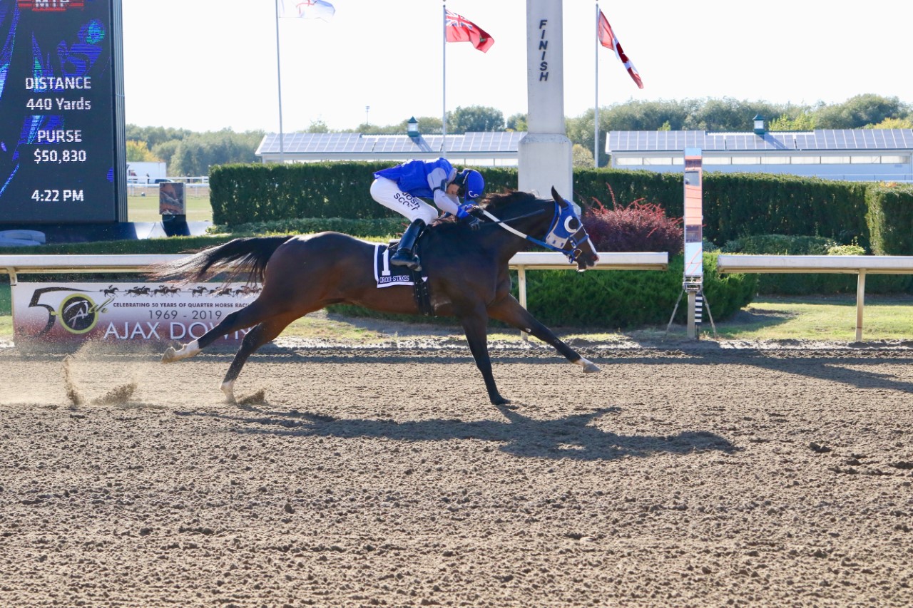 Had To Be Ivory Named AQHA Canadian Champion For Third Time