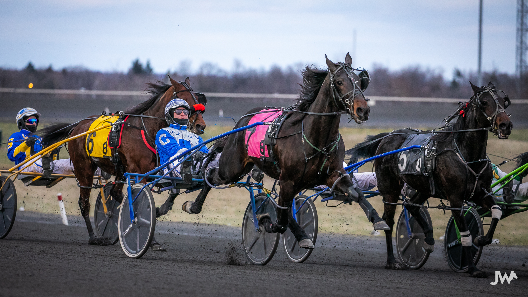 Bet Now – Horse Racing | Ontario Racing - Ontario Racing