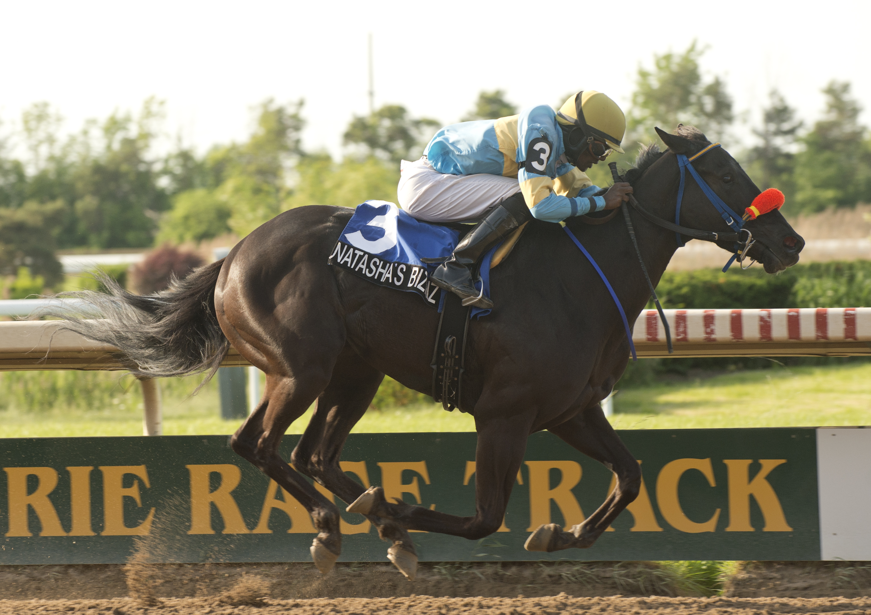 $1.65 Million Wagered with 5000 in Attendance on Fort Erie Opening Day