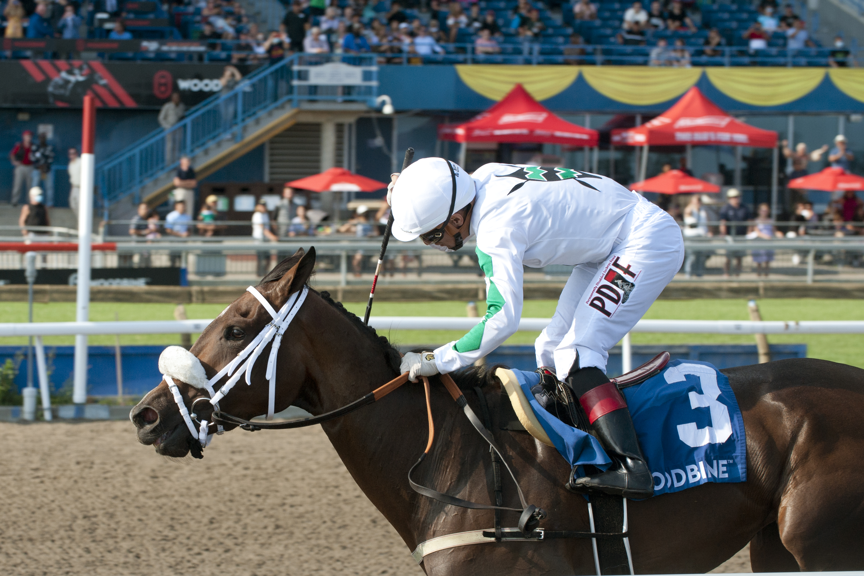 #QP22 Breeder Profile: Adena Springs