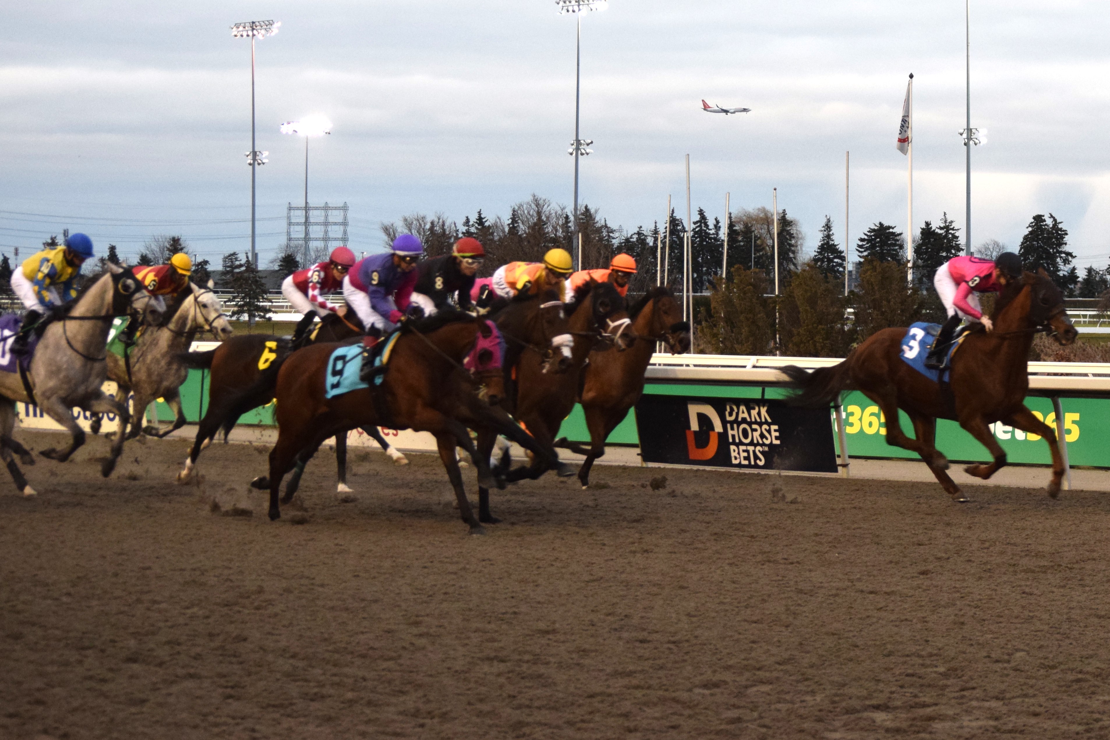 OLG conducting post-pandemic Economic Impact Survey