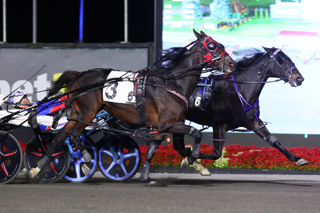 Odds On Platinum latest millionaire with OSS Gold Super Final win upset