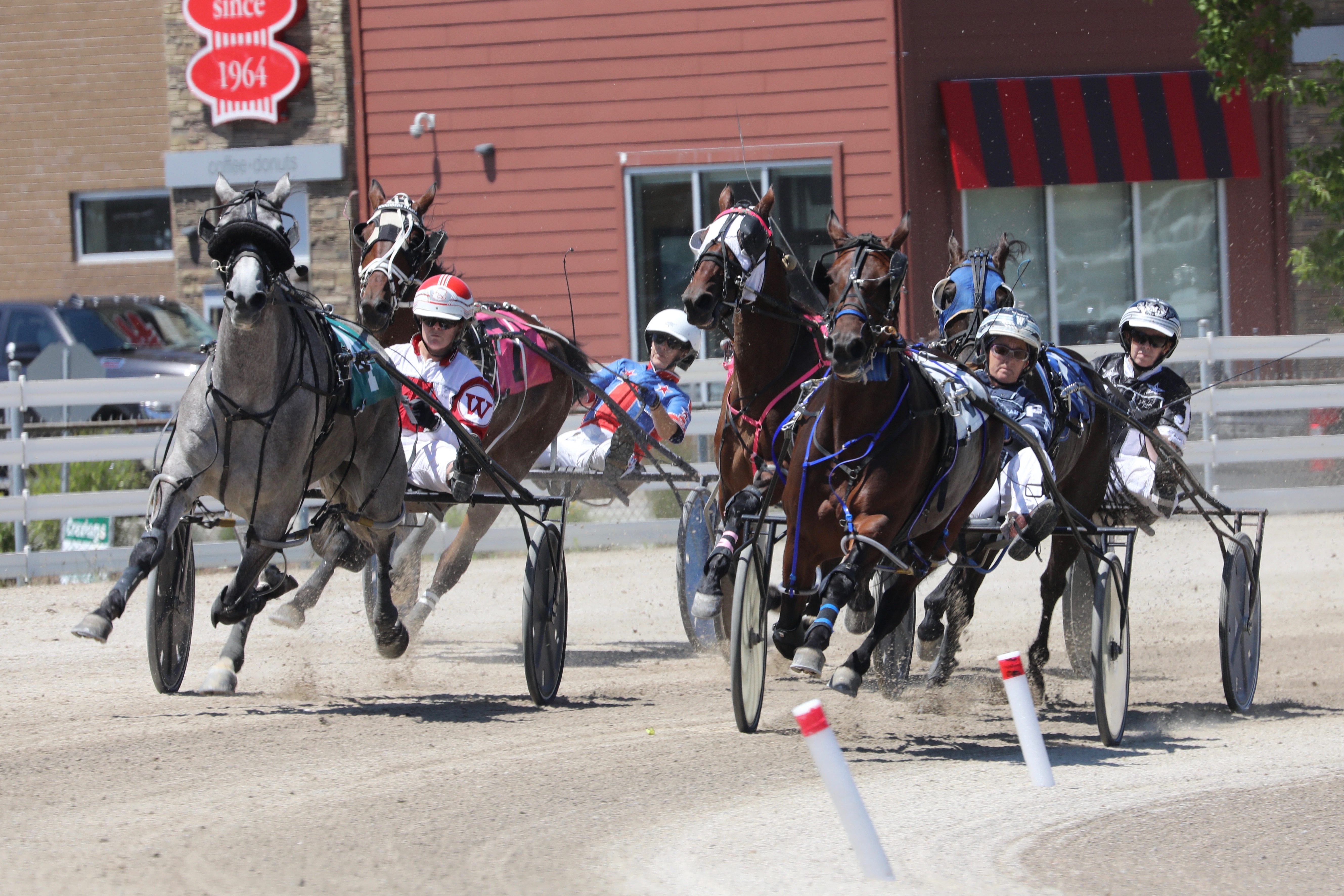 Grand River Raceway is blushing pink for the OLG Ontario Women’s Driving Championship