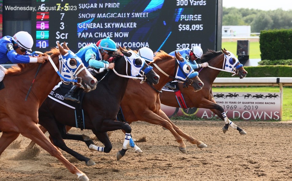 Ontario Sires Stakes Futurity Trials Draw 17 Entries