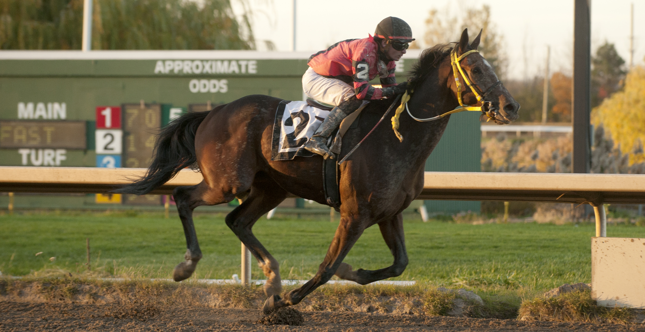 Fort Erie Race Track's 125th Season Wraps Up