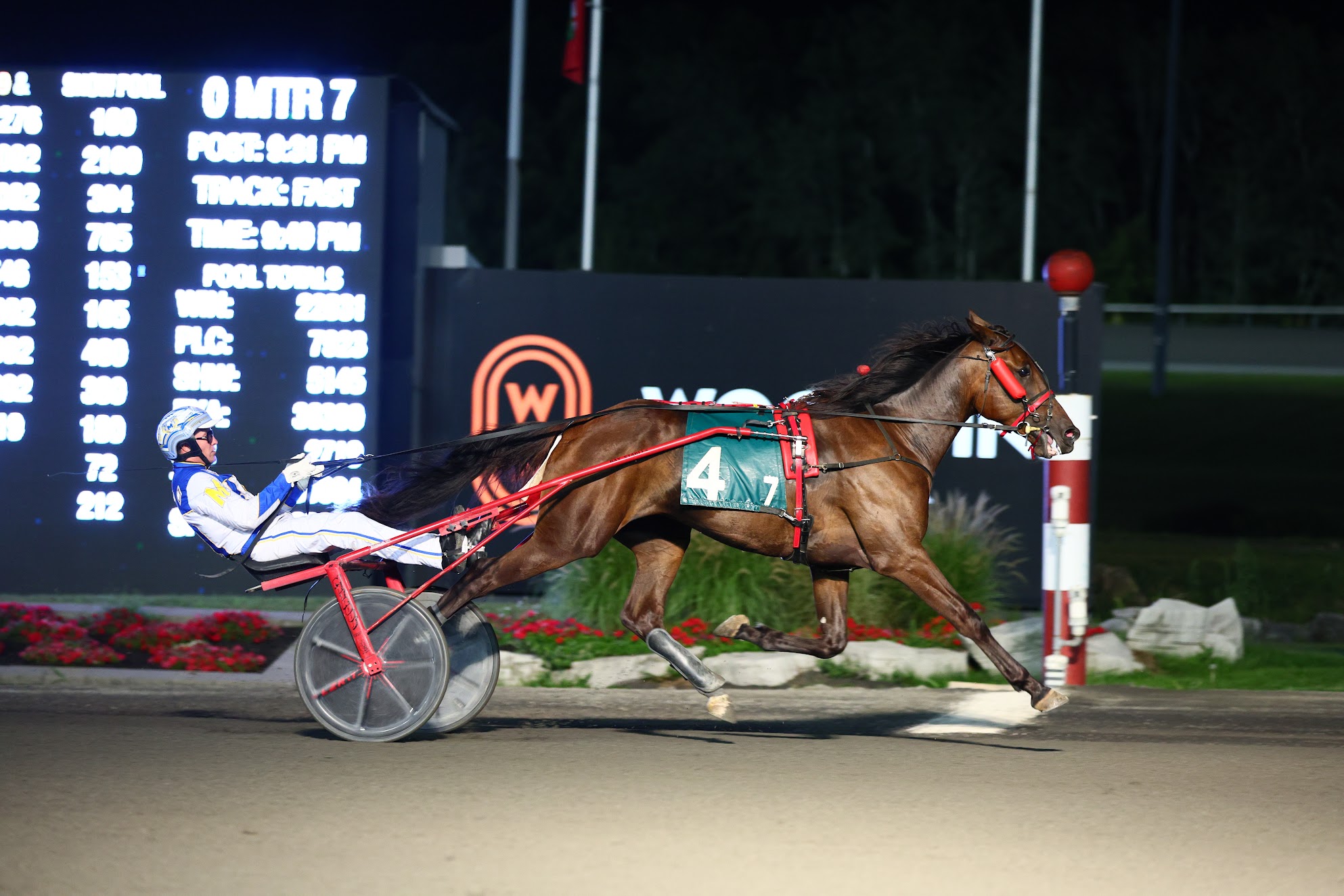 Meet the field for the 2022 Mohawk Million - Ontario Racing