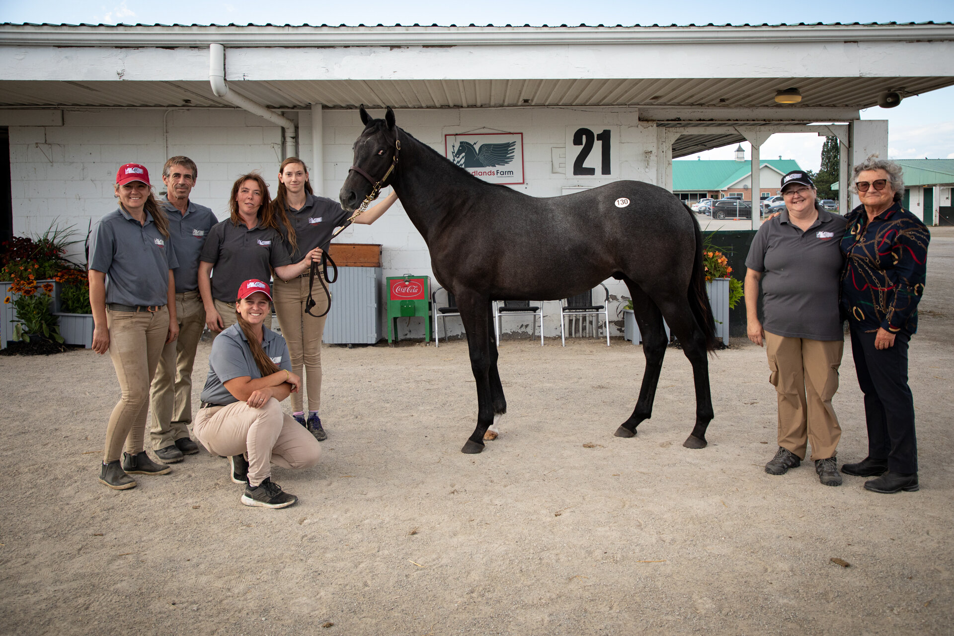 TIP Sales Credit Program Usage at CTHS Sale Increases by Over 150 Per cent